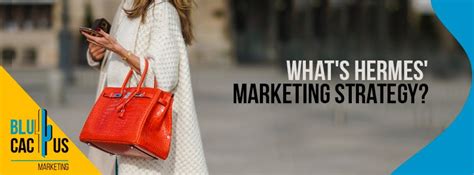 hermes sales marketing communication|what brands does Hermes own.